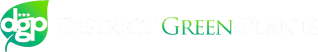 District Green Plants logo