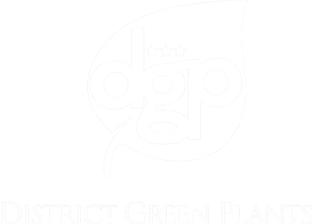 District Green Plants logo