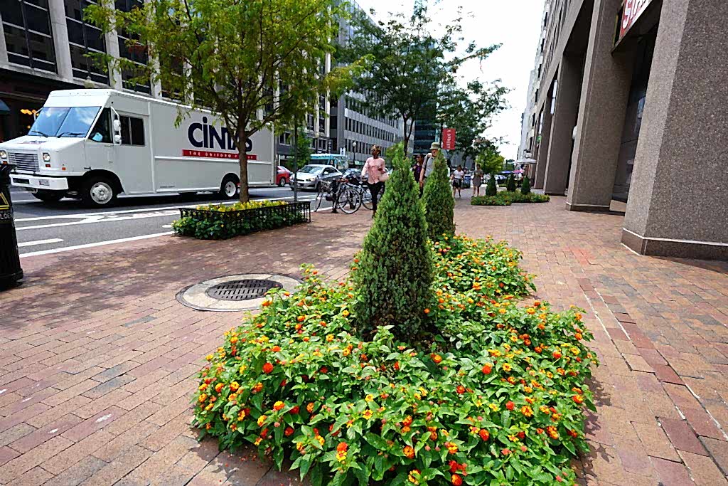 image of exterior plantscaping outside a business in DC