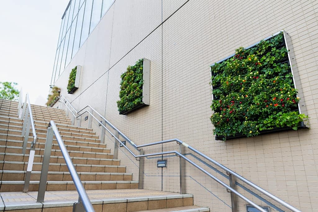 Green living wall panels on a building exterior by a staircase