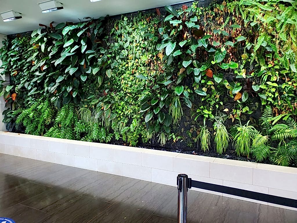interior plantscaping living green wall with topical green plants in commercial building
