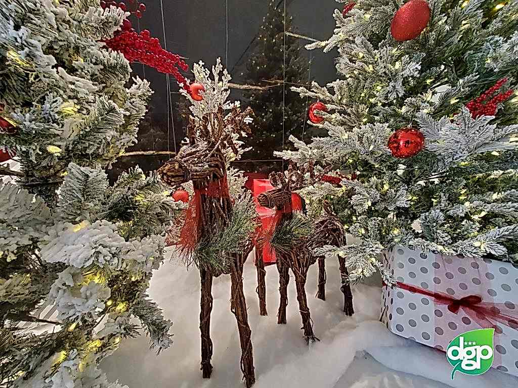 Holiday display with reindeer figures and red-decorated trees