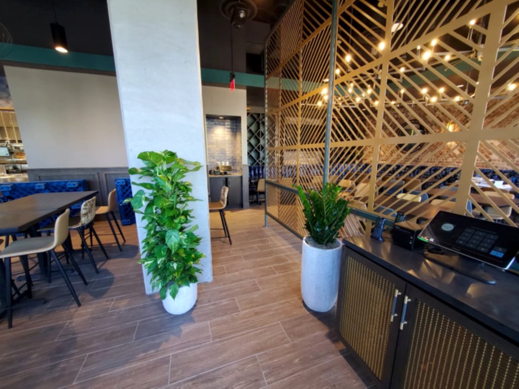 Tall plant and greenery in a restaurant with communal seating