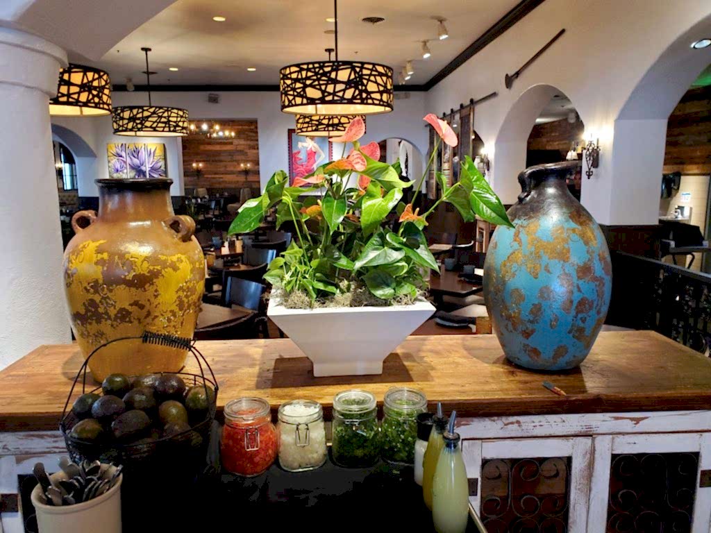 Decorative vases and plants on a restaurant counter
