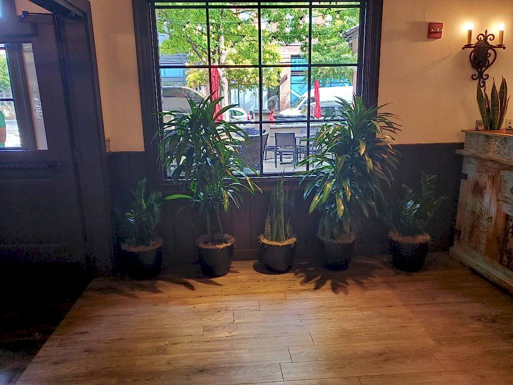 Potted plants and palms by a restaurant entrance