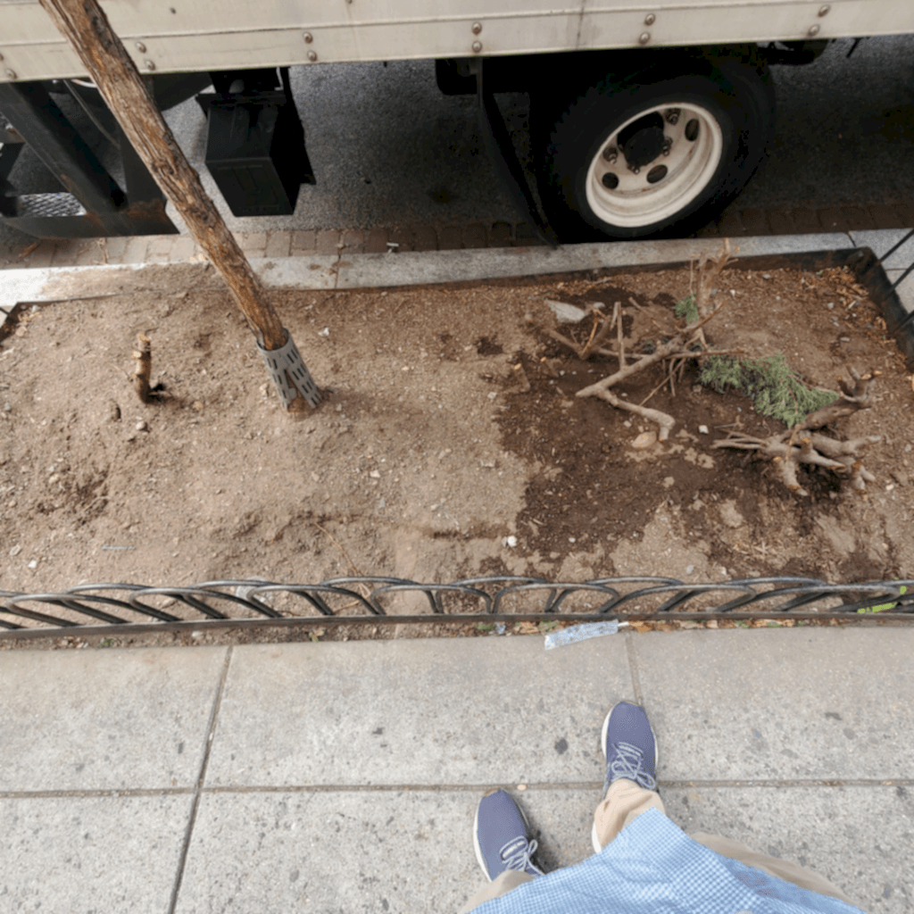 Street tree box installation in progress on a sidewalk