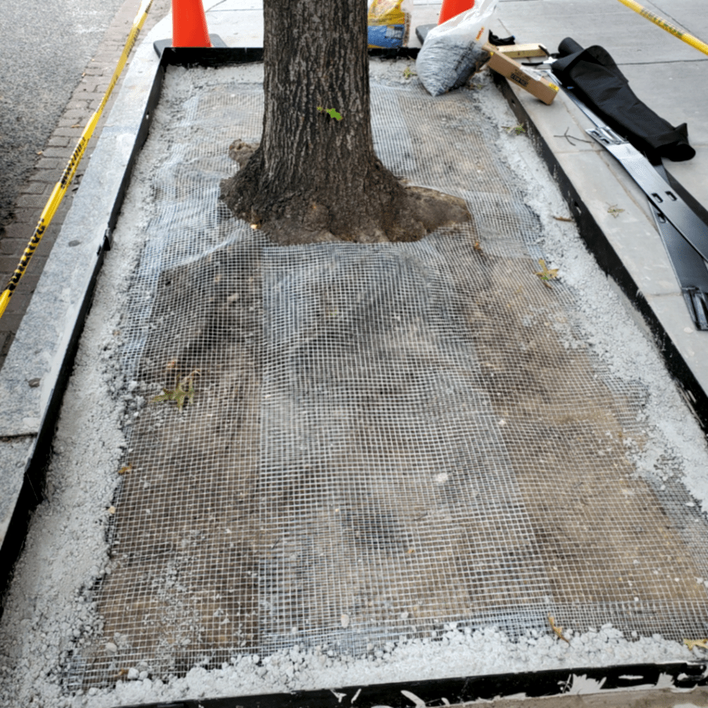 Street tree box with fresh soil during installation