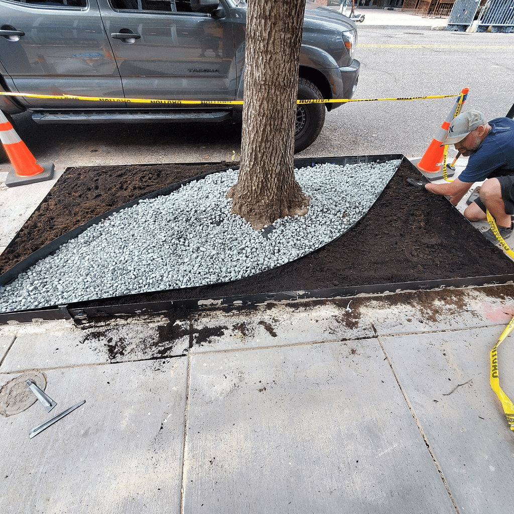Tree in a gravel bed being installed on a sidewalk