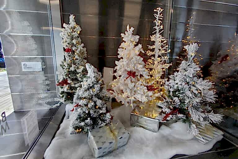 White flocked Christmas trees with red accents in a commercial holiday display