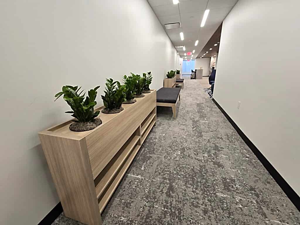 Greenery in a long wood planter along an office corridor
