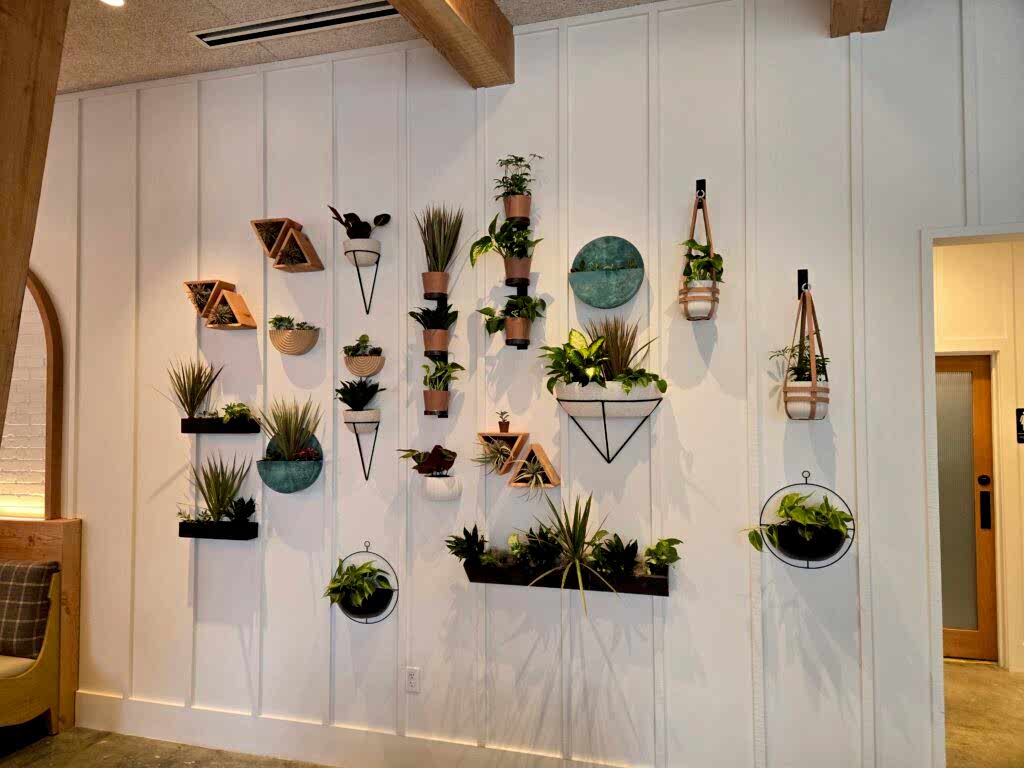 Wall-mounted potted plants forming a vertical garden in an office