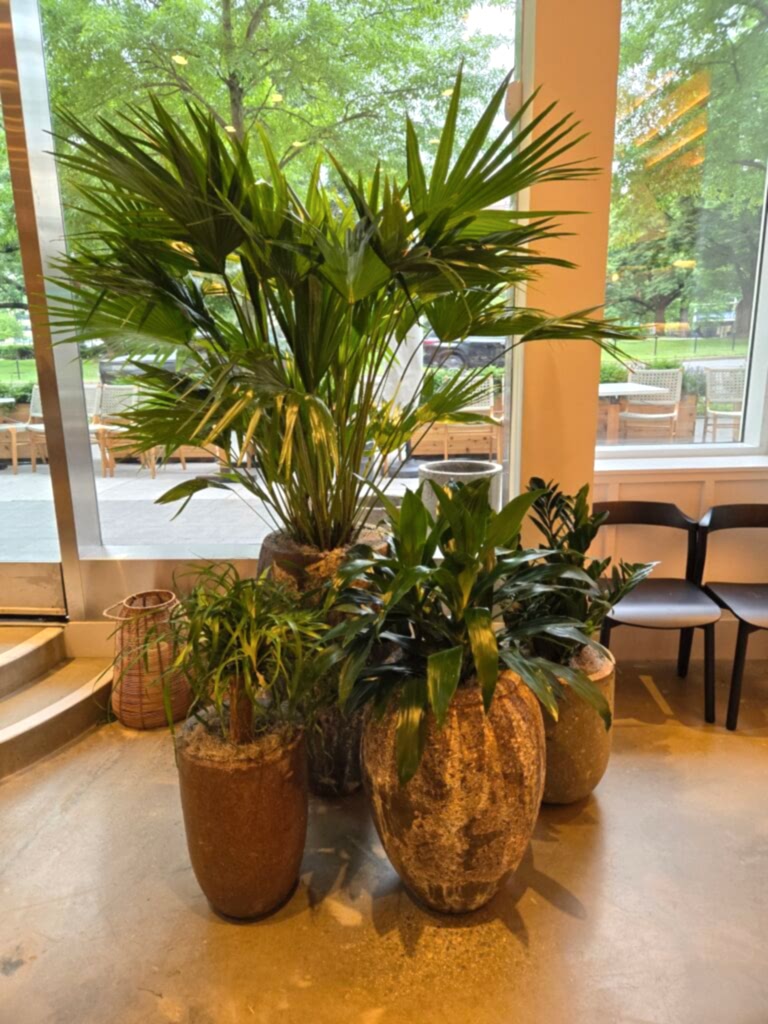 Interior Plantscaping