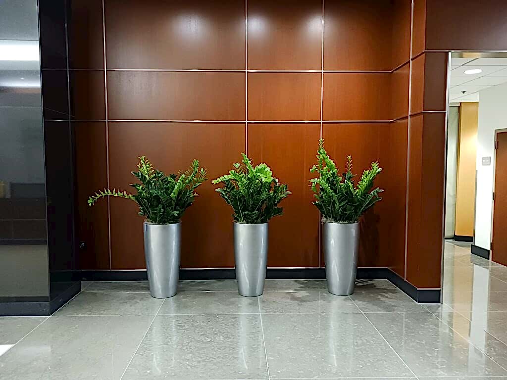Tall silver planters with greenery in an office lobby
