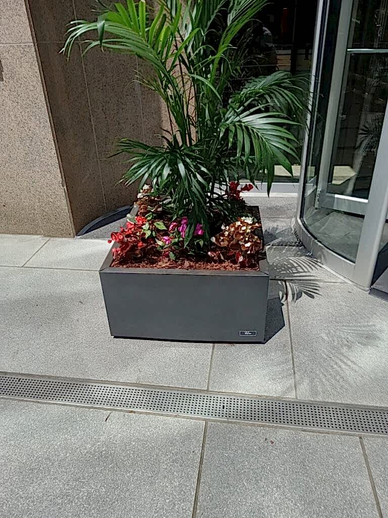 Tall planter with tropical plants and flowers at a building entrance
