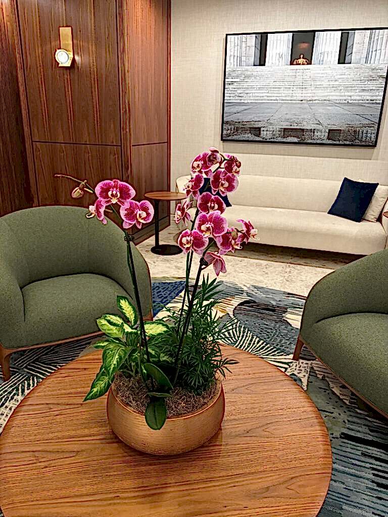 Pink orchid arrangement in a pot on a lounge table