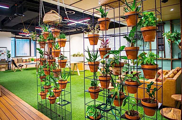 Tiered interior planters with trailing plants in a colorful office breakout space